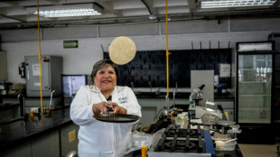 Desarrollan en México una tortilla contra la desnutrición y falta de neveras