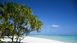 Seul sur un atoll polynésien pendant 240 jours pour repenser notre lien au vivant