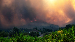 Rescuers evacuate 50,000 as Turkey battles wildfires