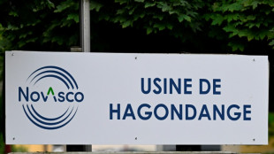 M&eacute;tallurgie: Novasco a un mois et demi pour trouver un repreneur