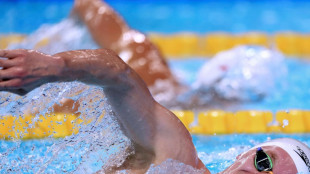 Schwarz gewinnt WM-Silber - Wellbrock verpasst Podest