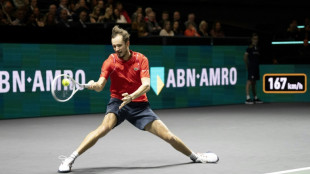 Daniil Medvedev supera a Jannik Sinner en la final del torneo ATP de R&oacute;terdam