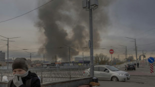 Rund 20 Tote bei russischen Angriffen auf die Ukraine