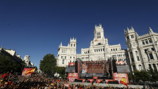 Euro-2024: les h&eacute;ros espagnols f&ecirc;t&eacute;s &agrave; Madrid 