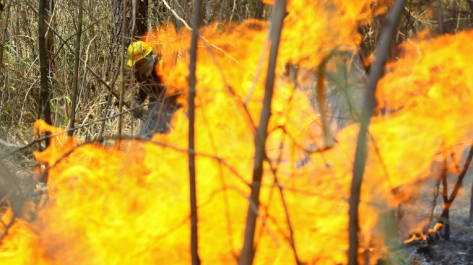 Doze acusados por inc&ecirc;ndios florestais s&atilde;o presos na Venezuela
