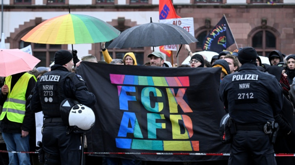La AfD en Alemania no puede ser clasificada como partido extremista de derecha "por ahora", seg&uacute;n la justicia