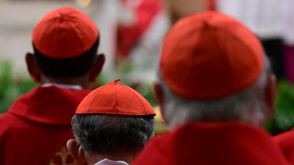 Wait for Vatican white smoke fires up social media