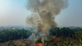 Casi 3.000 incendios en la Amazonía brasileña, récord para un mes de febrero