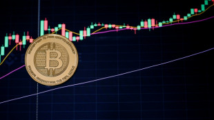 Le bitcoin bat un nouveau record et dépasse les 125.000 dollars  