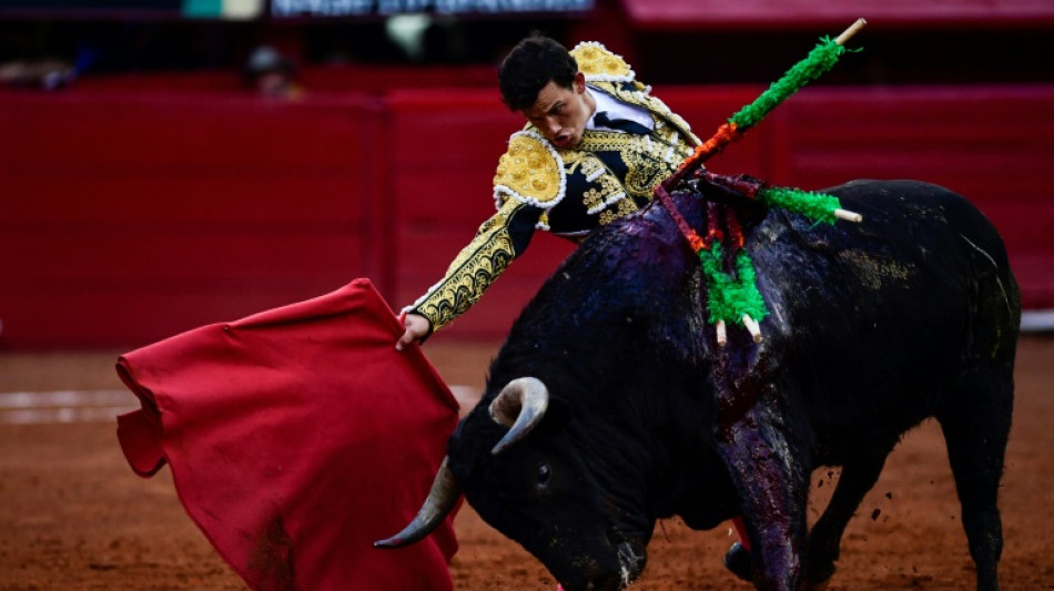 Corridas de toros: Ciudad de M&eacute;xico cerca de abolir una tradici&oacute;n de 500 a&ntilde;os