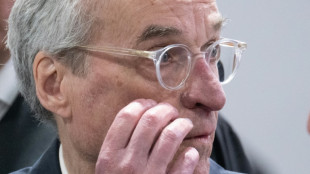 Allemagne: un prince et sa cour jug&eacute;s pour un projet de coup d'Etat