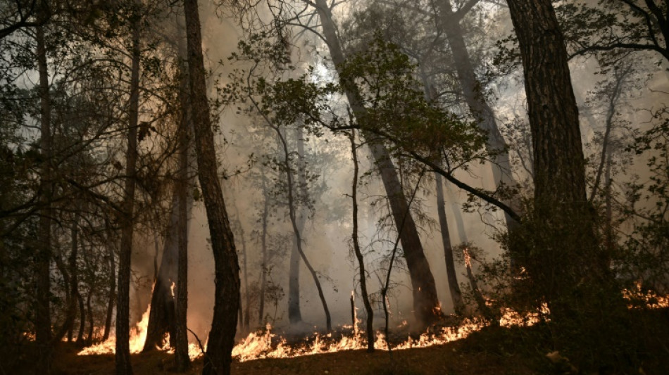 Incendies en Gr&egrave;ce: le manque de pr&eacute;vention point&eacute; du doigt