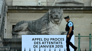 Attentats de janvier 2015: la perp&eacute;tuit&eacute; en appel pour le complice Ali Riza Polat