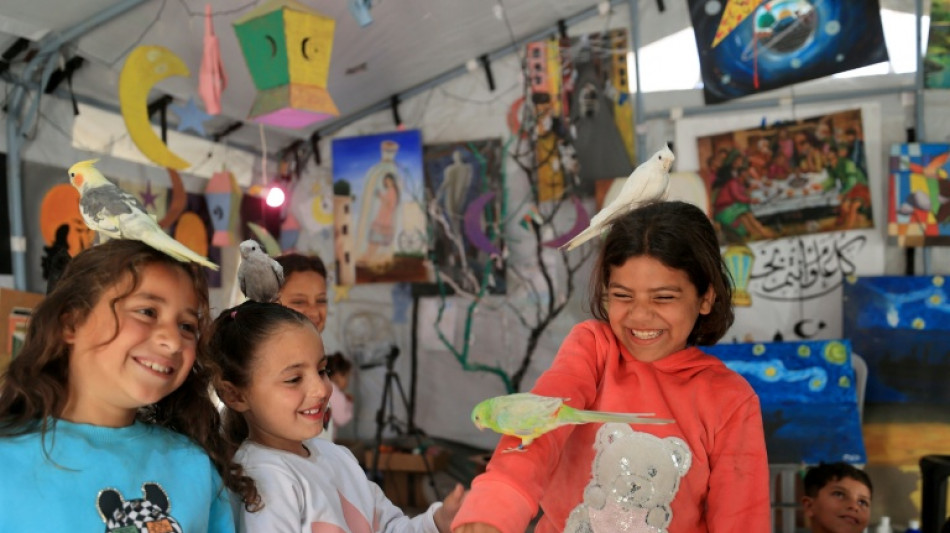 A Gaza, des enfants retrouvent le sourire le temps d'une s&eacute;ance de zooth&eacute;rapie