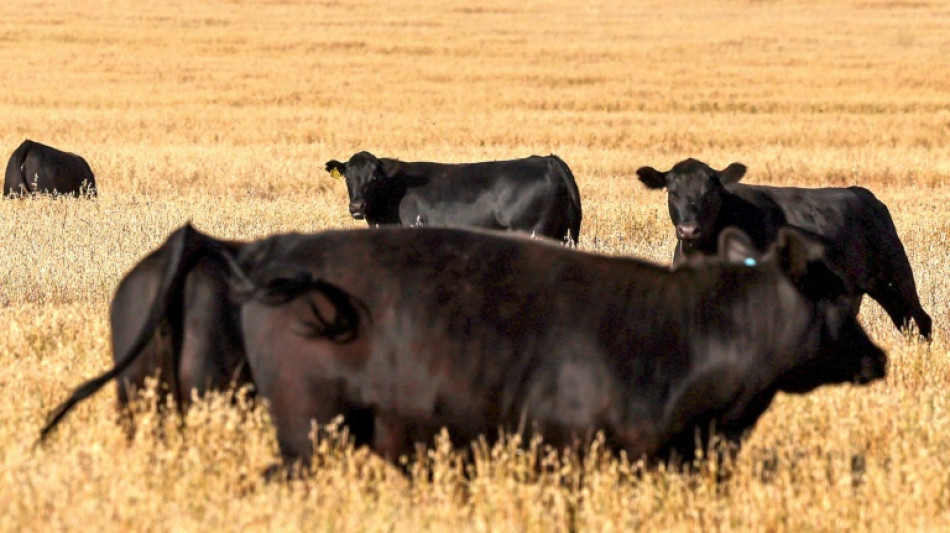 Australia lifts trade barriers on US beef