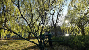 China reporta su otoño más cálido desde que se llevan registros