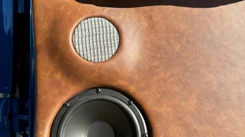 Speakers in a brown leather door panel