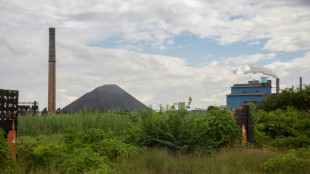 RD Congo apuesta a congelar exportaci&oacute;n de cobalto para frenar ca&iacute;da de precios
