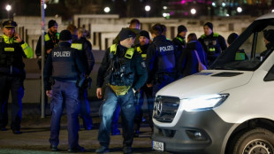 Un Espagnol bless&eacute; au M&eacute;morial de l'Holocauste &agrave; Berlin, arrestation d'un suspect