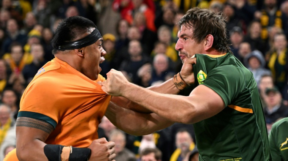 Springboks believe again after dominating Wallabies win: Kolisi