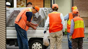 Japon: un ours errant en ville depuis quatre jours captur&eacute;