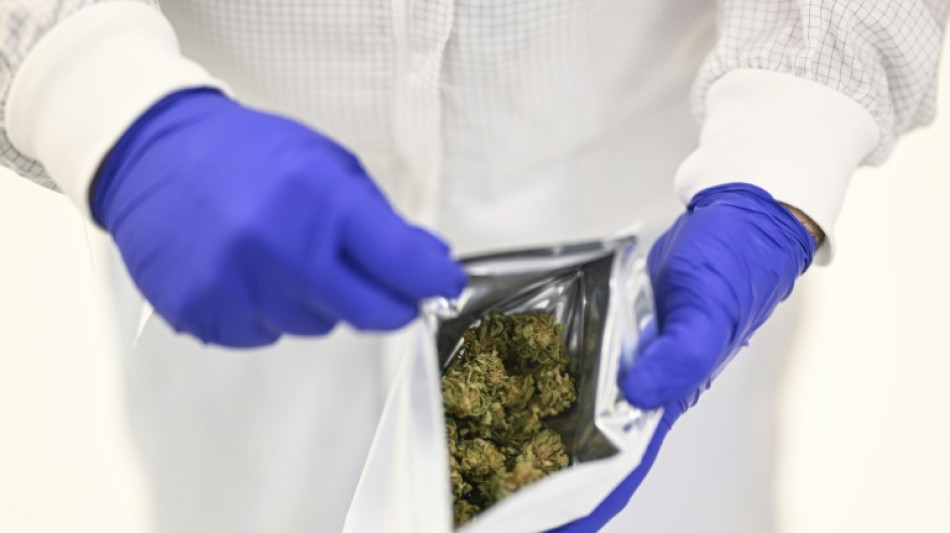 Le Portugal, fleuron europ&eacute;en du cannabis m&eacute;dical