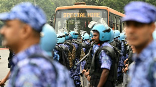 Detienen al jefe del partido de las "cucarachas" antes de una manifestaci&oacute;n en India