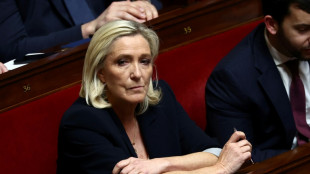Le Pen: Macron et Bayrou apportent un soutien ferme &agrave; l'ind&eacute;pendance de la justice 