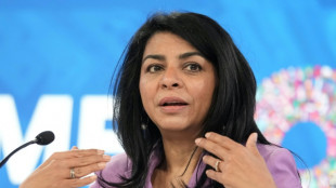 'Absolutely critical' to boost growth in Europe: IMF official