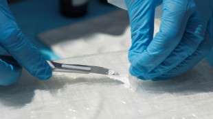 Versuchter Schmuggel von 3,6 Tonnen Kokain: Sechs Festnahmen in Niedersachsen