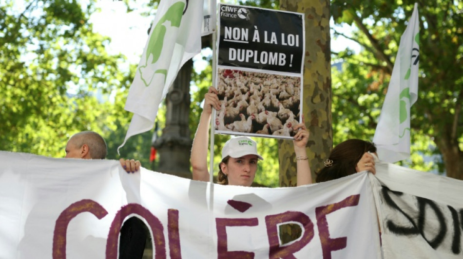 Macron promulga una ley cuya disposición de reintroducir un pesticida fue vetada por un alto tribunal