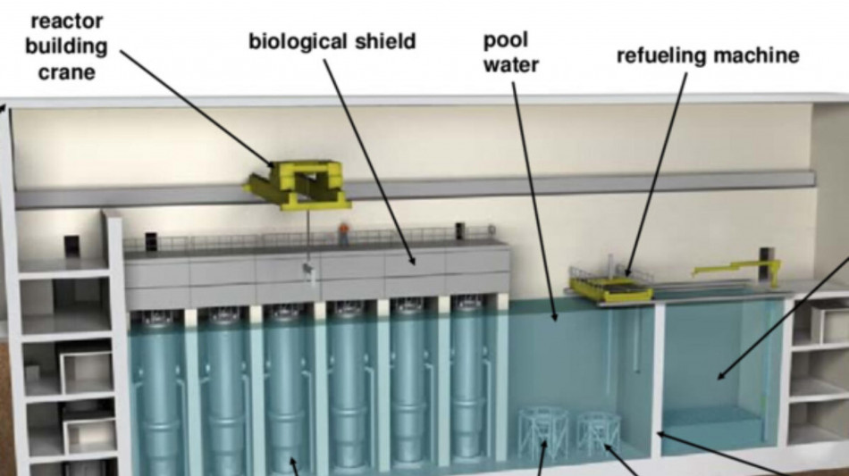 Nucleare, accordo fra Eagles e regolatori su autorizzazioni