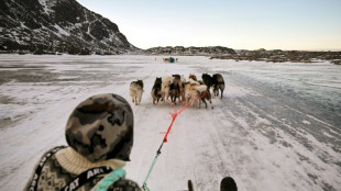 Greenland's west coast posts warmest January on record