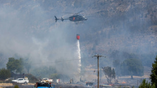 El principal incendio forestal en la Patagonia argentina fuera de control afecta 5.500 hect&aacute;reas