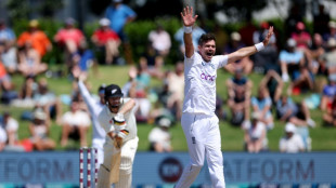 England unchanged for second N.Zealand Test after 'perfect game'