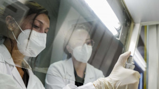 Pronto il cuore battente su chip per studiare le malattie cardiache