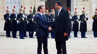L'émir du Qatar s'engage à investir 10 milliards d'euros en France 