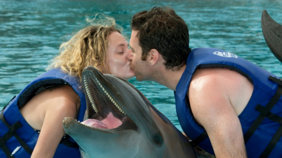 Mexican lawmakers vote to ban dolphin shows