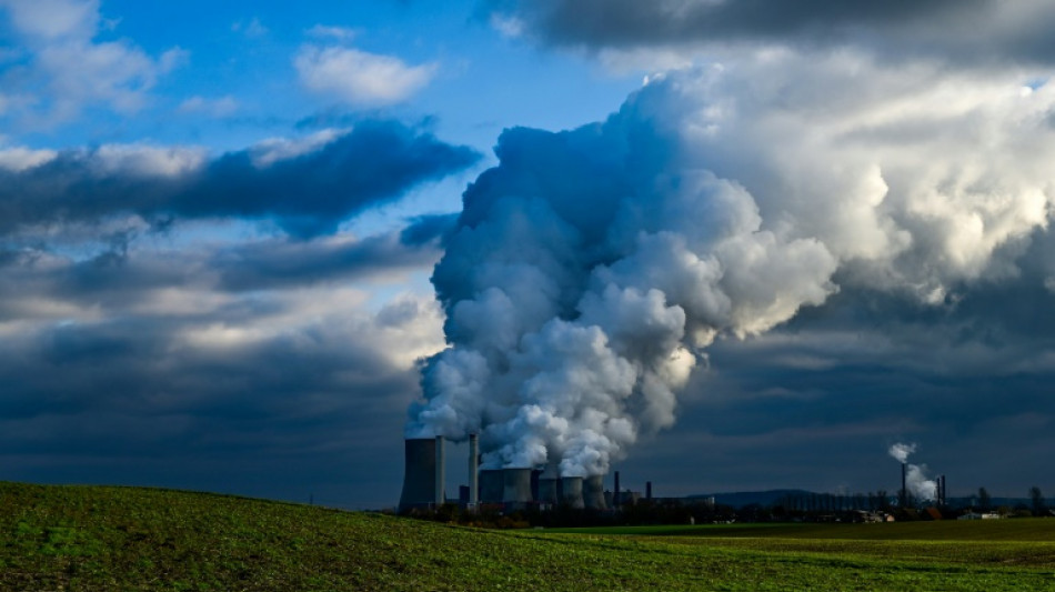 Umfrage: Deutsche w&uuml;rden f&uuml;r Klimaschutz auf Feuerwerk und Fleisch verzichten 