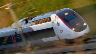 Le train toujours pl&eacute;biscit&eacute; en 2023 malgr&eacute; le prix et une ponctualit&eacute; d&eacute;grad&eacute;e, selon un rapport