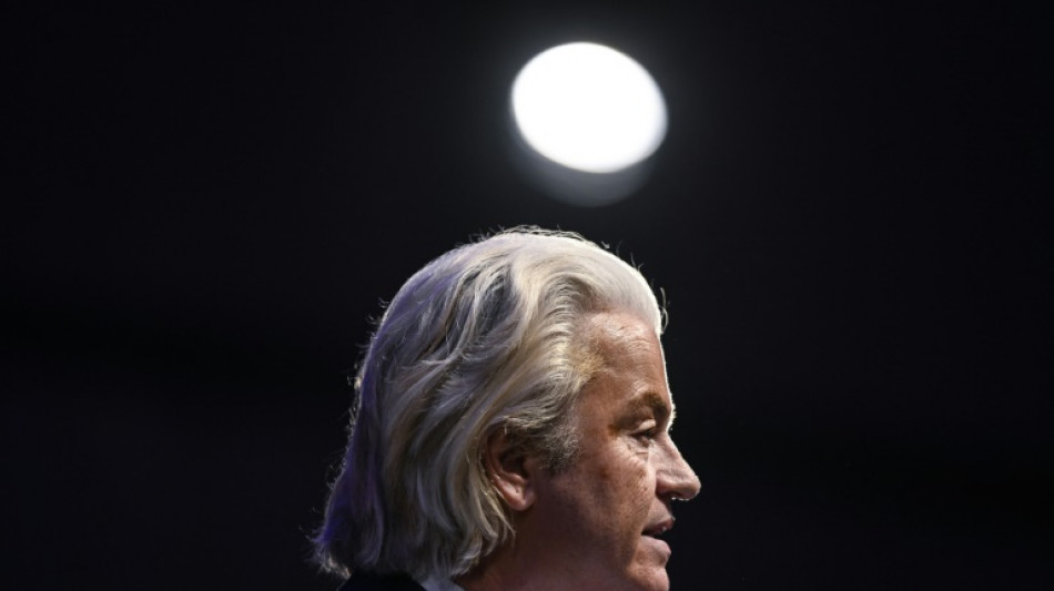 Wilders: firebrand 'Dutch Trump' gambles for power