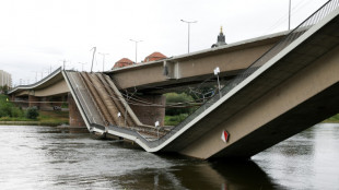 Ponte desaba na cidade alem&atilde; de Dresden e n&atilde;o deixa feridos