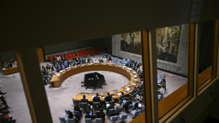 Sahara occidental: le Conseil de sécurité de l'ONU soutient le plan d'autonomie marocain