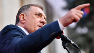 Bosnia top court suspends Serb leader's separatist laws 