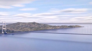 Salini, 'il Ponte? Facciamo ci&ograve; che il governo indica'