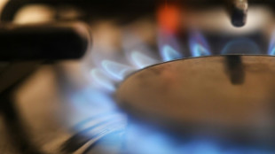 Les r&eacute;serves fran&ccedil;aises de gaz sont remplies &agrave; 100% 