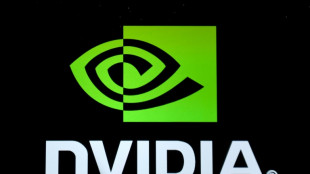 Nvidia plus que jamais faiseur de rois de l'IA après une année record