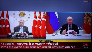 Erdogan will "bald" zu Gespr&auml;chen mit Putin nach Russland reisen