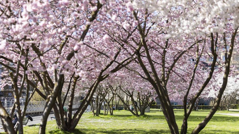 L'incontro tra Luna e Venere festeggia l'equinozio di primavera