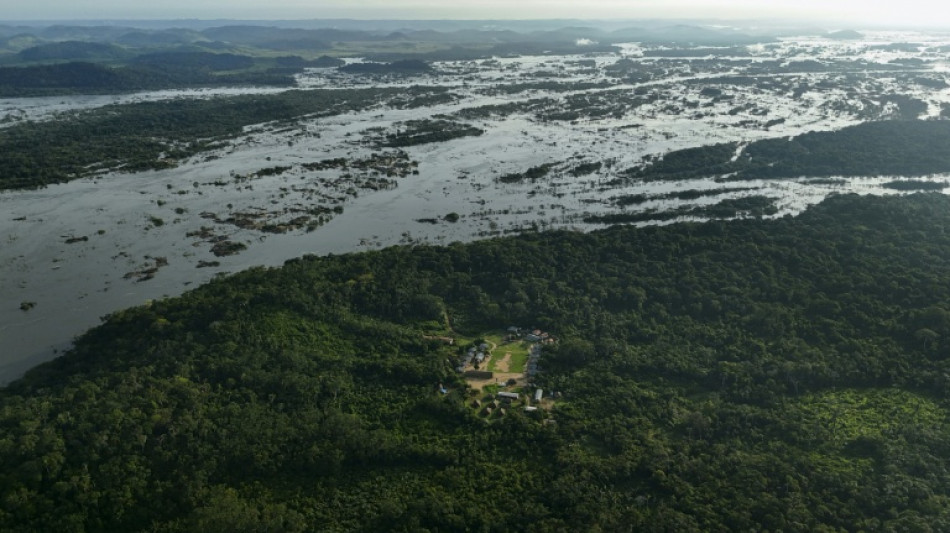 Proof of life: tracking elusive Amazon group to save their land